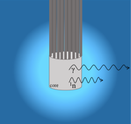 Schematic representation of the mixed radiation field in the pool environment.