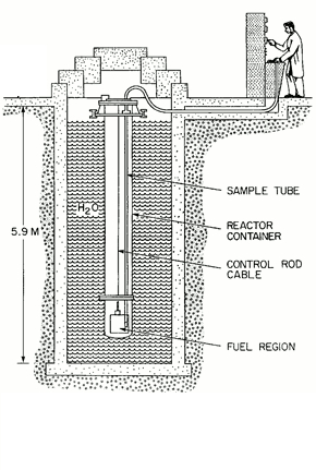 Schematic of the SLOWPOKE-2 Nuclear Reactor showing the sample tube, reactor container, control rod cable, and fuel region